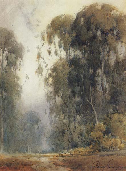 unknow artist Eucalyptus Trees oil painting image